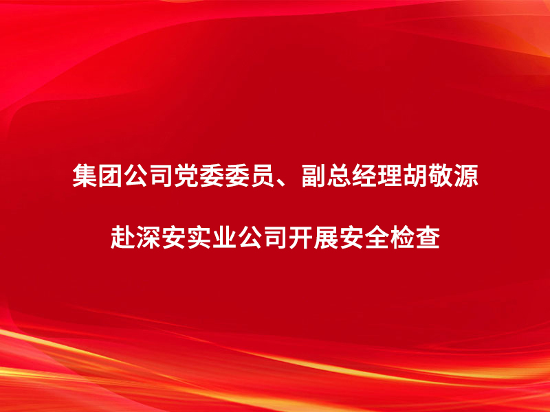集團公司黨委委員、副總經(jīng)理胡敬源赴深...