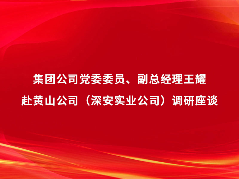 集團(tuán)公司黨委委員、副總經(jīng)理王耀赴黃山...